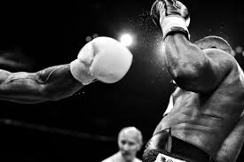 boxeo,casino online,juegos777