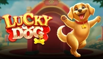 Lucky Dog,slot,casino online,juegos777