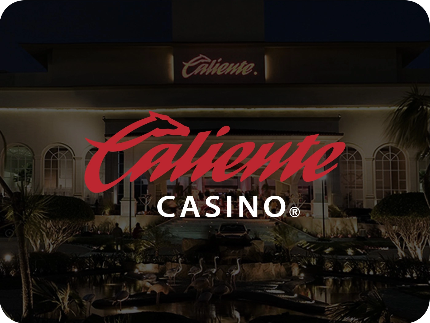 Baccarat,Caliente Casino,Casino,promociones ,sports